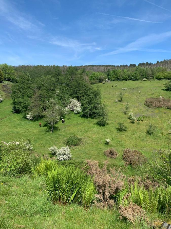 فيلا Tredegarفي Cosy, Dog Friendly House On The Fringe Of The Brecon Beacons المظهر الخارجي الصورة