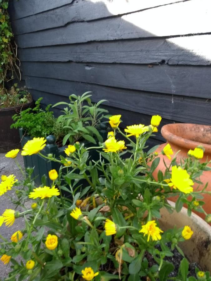 فيلا Tredegarفي Cosy, Dog Friendly House On The Fringe Of The Brecon Beacons المظهر الخارجي الصورة